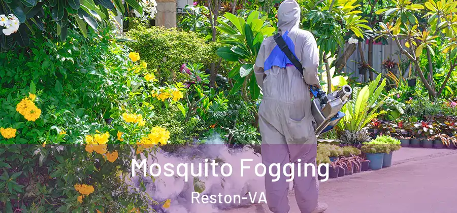  Mosquito Fogging Reston-VA