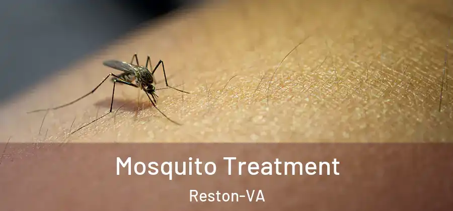  Mosquito Treatment Reston-VA