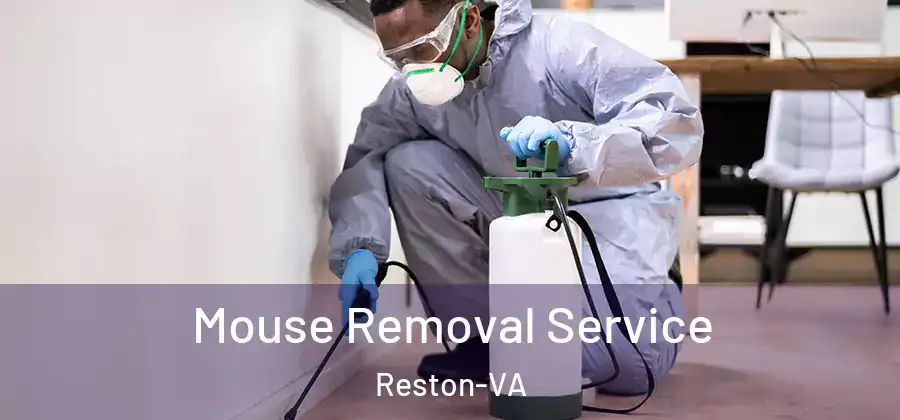 Mouse Removal Service Reston-VA