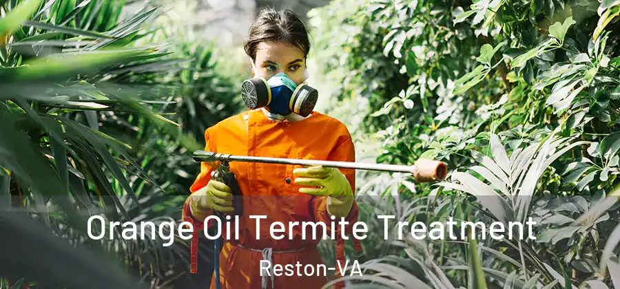 Orange Oil Termite Treatment Reston-VA
