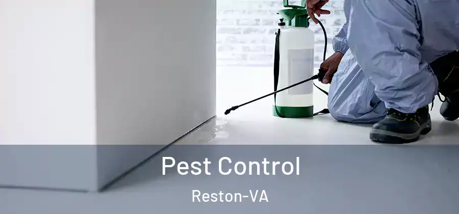  Pest Control Reston-VA