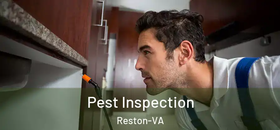  Pest Inspection Reston-VA