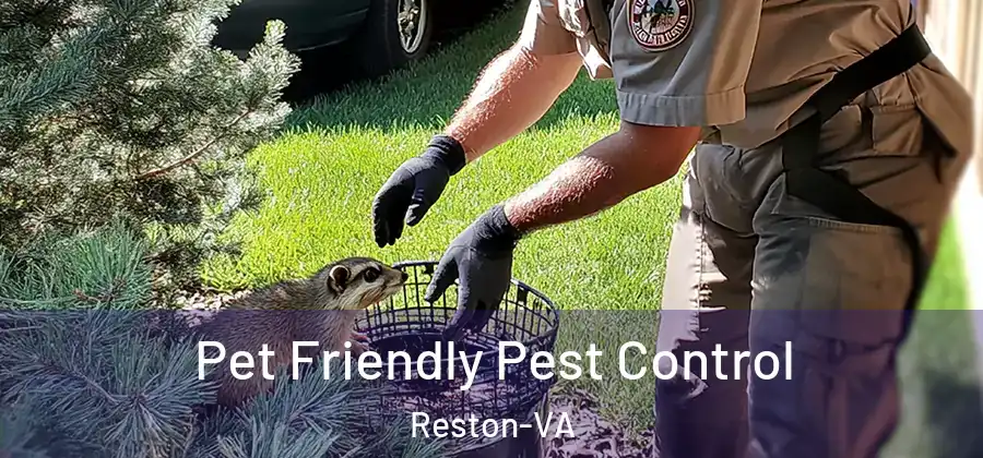 Pet Friendly Pest Control Reston-VA