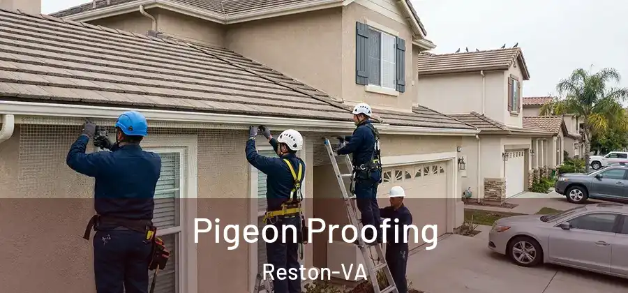Pigeon Proofing Reston-VA