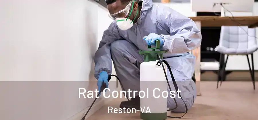 Rat Control Cost Reston-VA