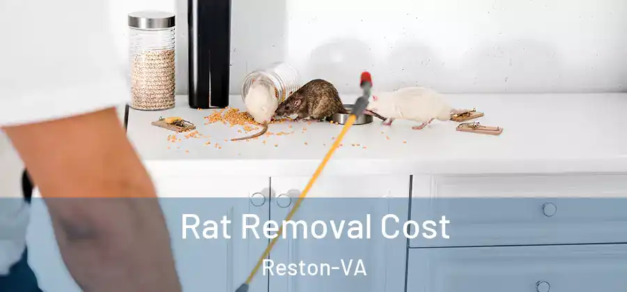  Rat Removal Cost Reston-VA