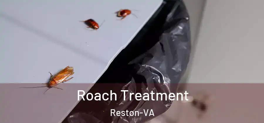 Roach Treatment Reston-VA