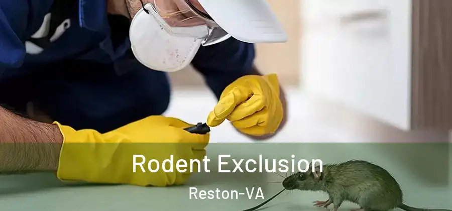  Rodent Exclusion Reston-VA