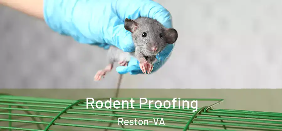 Rodent Proofing Reston-VA