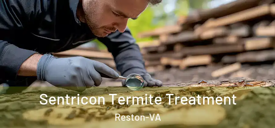  Sentricon Termite Treatment Reston-VA