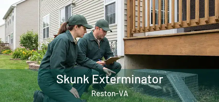Skunk Exterminator Reston-VA