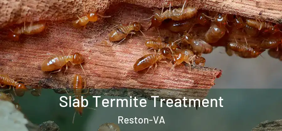  Slab Termite Treatment Reston-VA