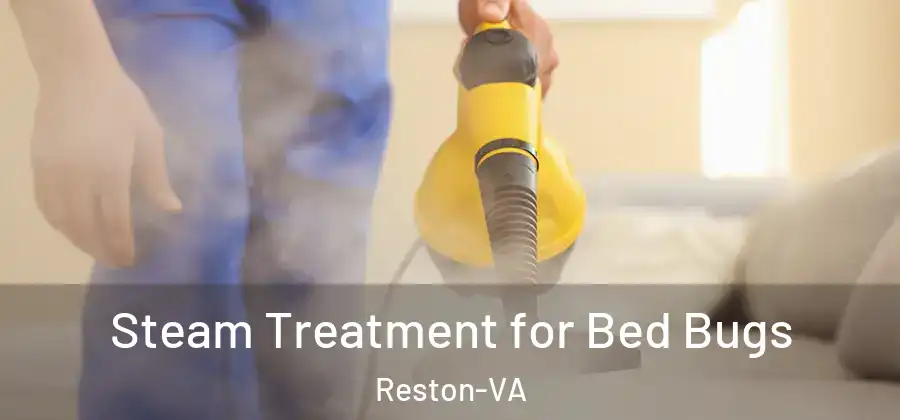 Steam Treatment for Bed Bugs Reston-VA