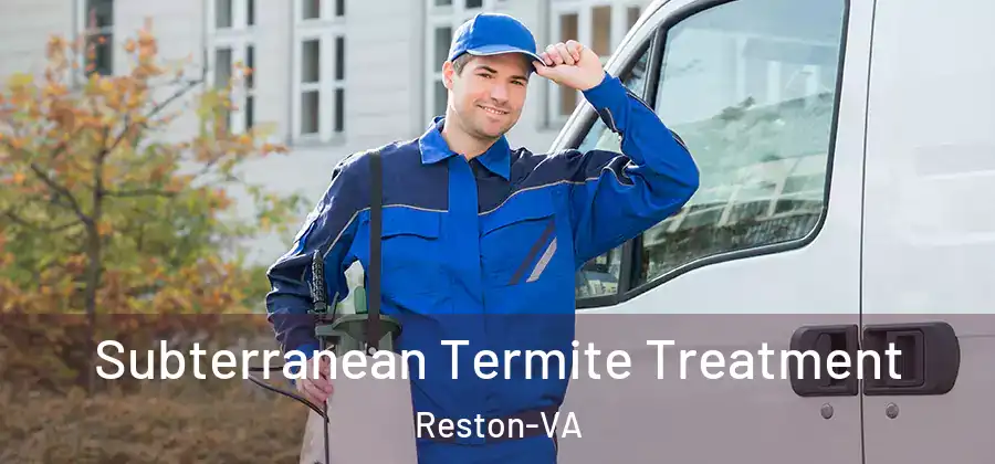  Subterranean Termite Treatment Reston-VA