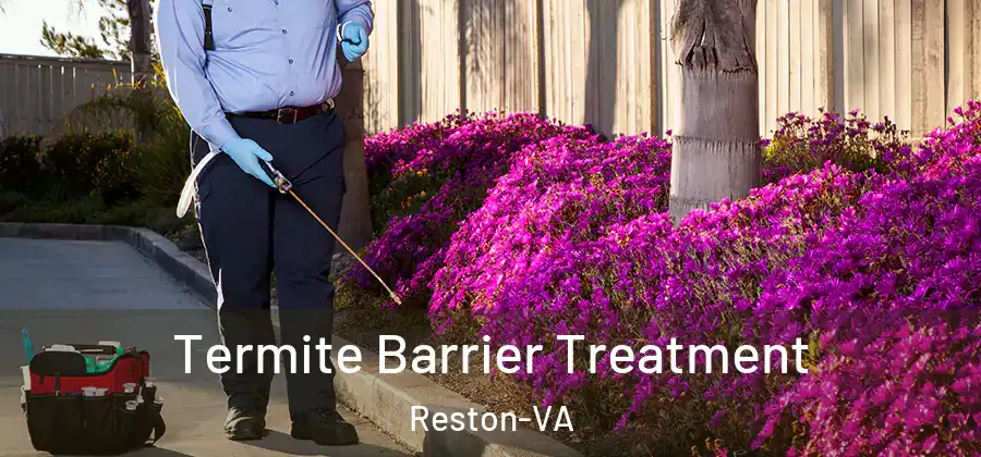  Termite Barrier Treatment Reston-VA