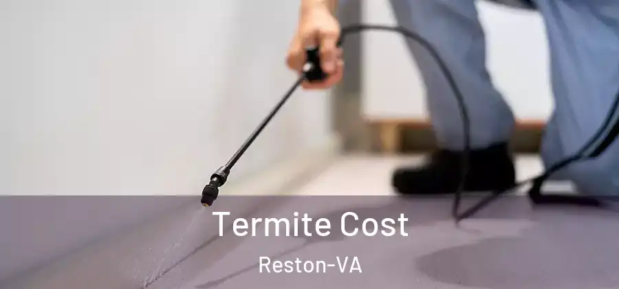 Termite Cost Reston-VA