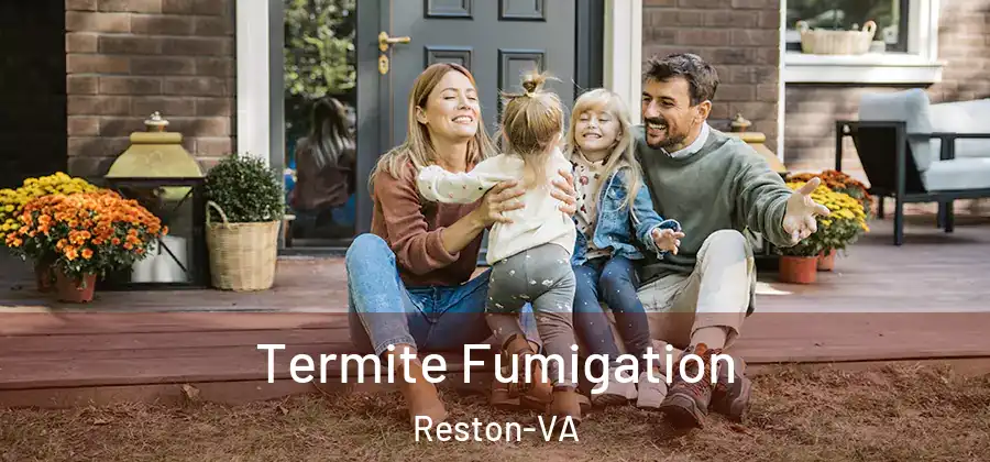 Termite Fumigation Reston-VA