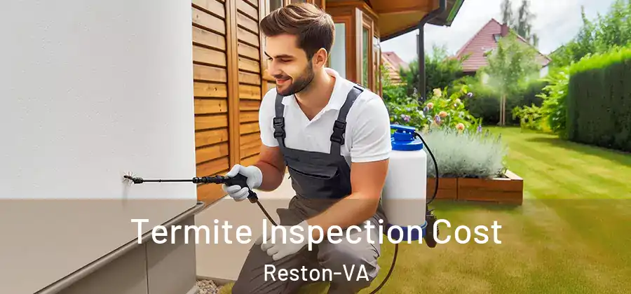 Termite Inspection Cost Reston-VA