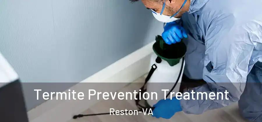 Termite Prevention Treatment Reston-VA