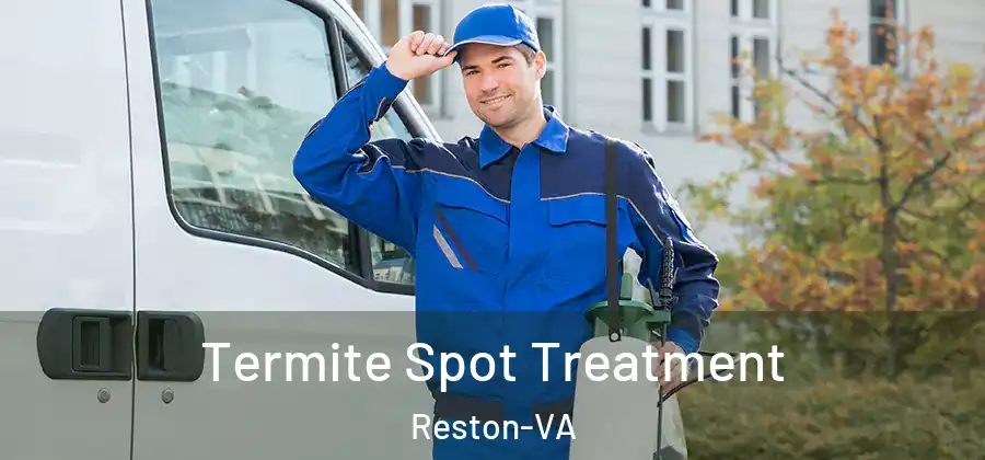 Termite Spot Treatment Reston-VA