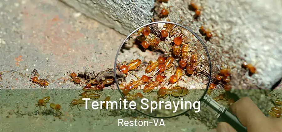  Termite Spraying Reston-VA