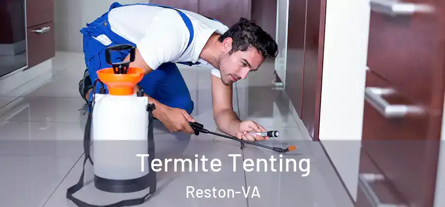Termite Tenting Reston-VA