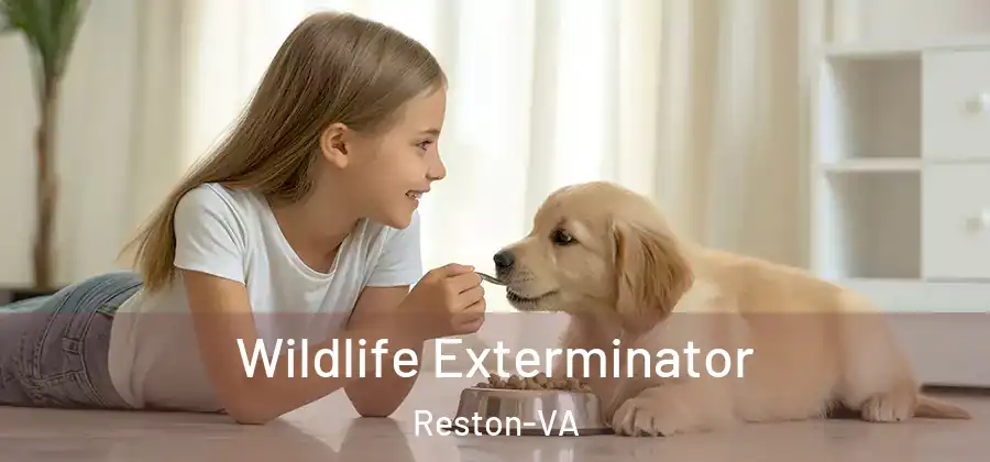 Wildlife Exterminator Reston-VA