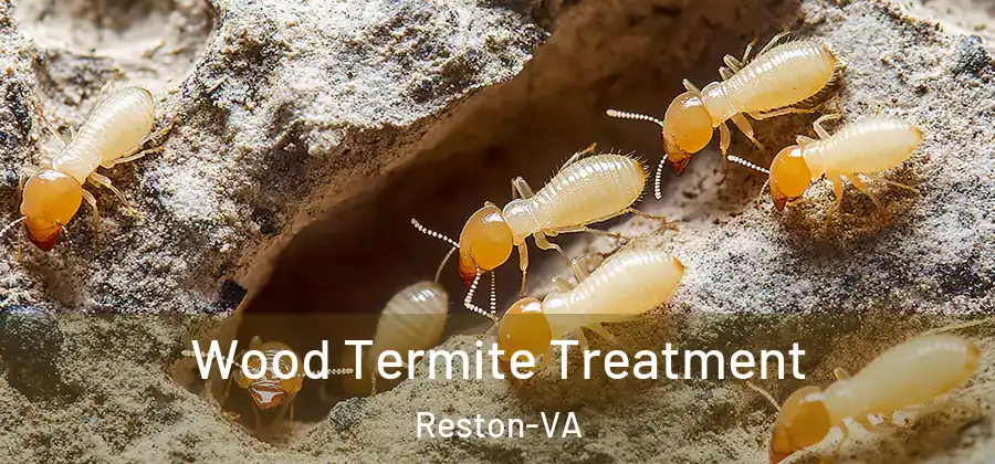  Wood Termite Treatment Reston-VA