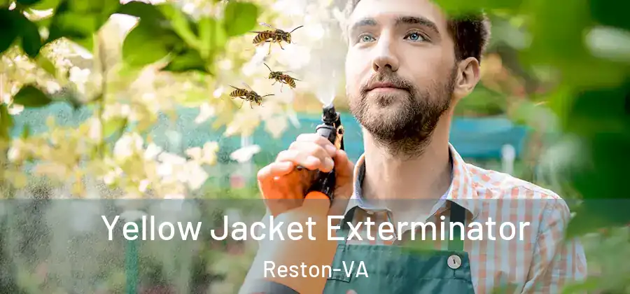 Yellow Jacket Exterminator Reston-VA